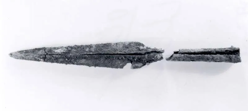 Spearhead with shaft — تصویر رکورد موزهٔ متروپولیتن (دسترسی آزاد)