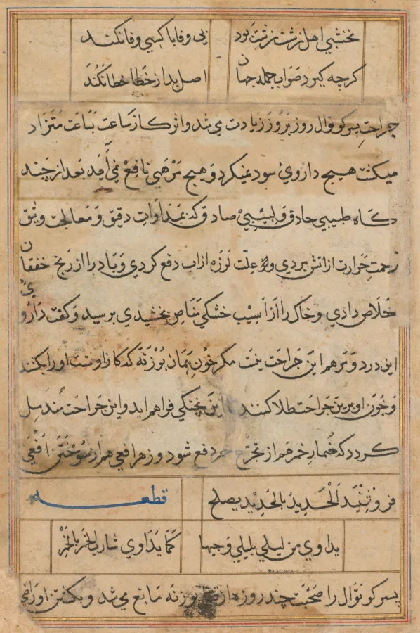 Page from Tales of a Parrot (Tuti-nama): text page — تصویر رکورد موزهٔ هنر کلیولند (دسترسی آزاد)