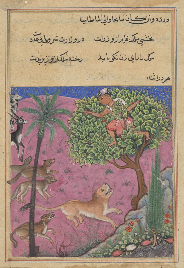 The wolf and the jackal, serving as viziers, instigate the lion who pursues the Brahman up a tree, from a Tuti-nama (Tales of a Parrot): Twenty-first Night — تصویر رکورد موزهٔ هنر کلیولند (دسترسی آزاد)