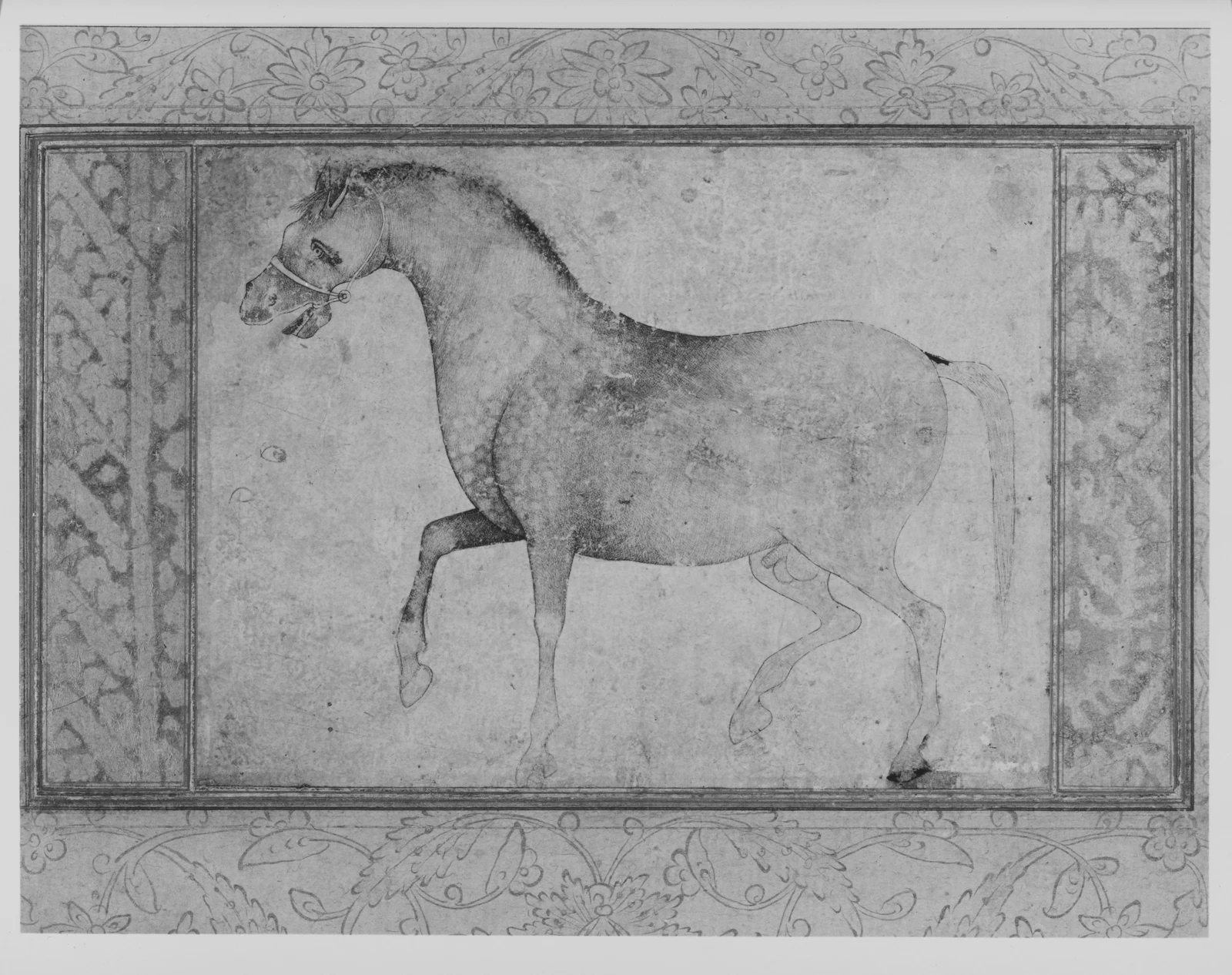 نگاره اسب نر — نمای تکمیلی ثبتشده در رکورد موزه