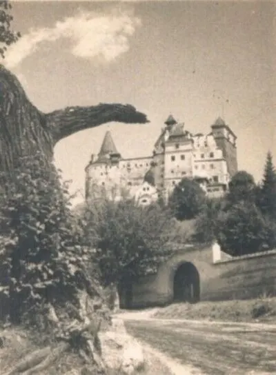 Castelul Bran — تصویر رکورد یوروپیانا