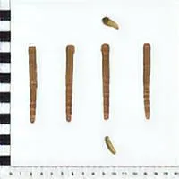 POST MEDIEVAL PEN — تصویر رکورد یوروپیانا