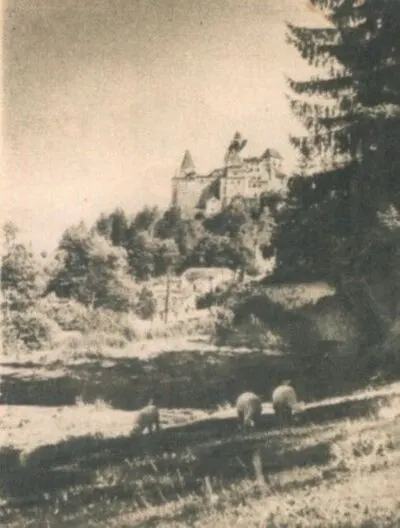 Castelul Bran — تصویر رکورد یوروپیانا