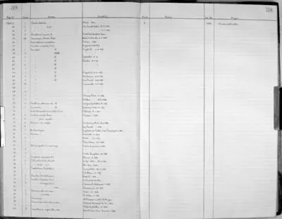 Architectonica perspectiva (Linnaeus, 1758) — تصویر رکورد یوروپیانا