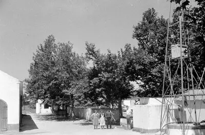 Landwirtschaftlicher Betrieb — تصویر رکورد یوروپیانا