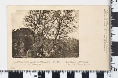 Στρατιωτικό (ατελές) - Επιστολικό δελτάριο: ΠΑΜΜΕΓΙΣΤΗ ΠΛΑΤΑΝΟΣ ΠΑΡΑ ΤΟ ΞΗΡΟΧΩΡΙΟΝ — تصویر رکورد یوروپیانا