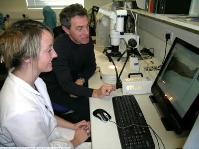 Using a microscope to examine artefacts — تصویر رکورد یوروپیانا