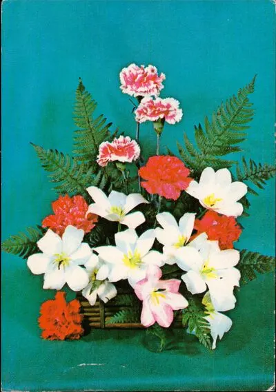 Urare de 8 Martie - Coș de flori — تصویر رکورد یوروپیانا