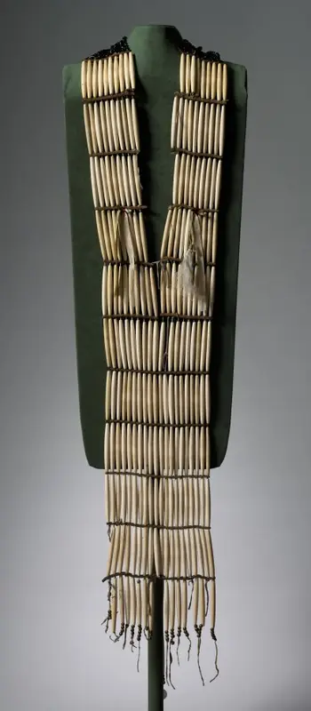 Hair-Pipe Necklace — تصویر رکورد موزهٔ هنر کلیولند (دسترسی آزاد)