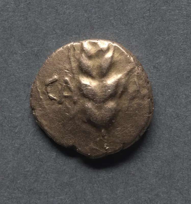 Cunobeline Quarter Stater: Corn (obverse) — تصویر رکورد موزهٔ هنر کلیولند (دسترسی آزاد)