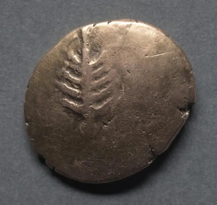 Catti Stater: Horse and Wheel (reverse) — تصویر رکورد موزهٔ هنر کلیولند (دسترسی آزاد)