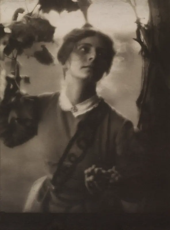The Arbor (Julia Hall McCune) — تصویر رکورد موزهٔ هنر کلیولند (دسترسی آزاد)