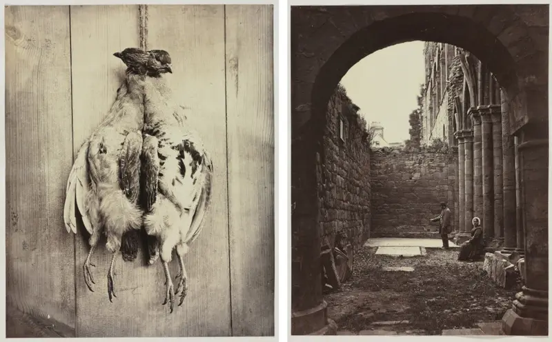 Partridges (recto); L.D. Campbell's Tomb (verso) — تصویر رکورد موزهٔ هنر کلیولند (دسترسی آزاد)