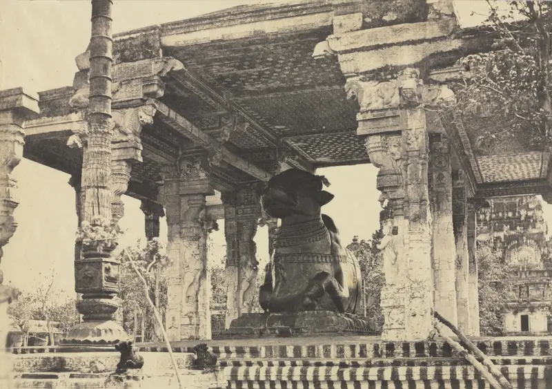 Great Pagoda, Great Bull, Front View, Tanjore, India (Rajarajeshvara Temple), plate 12 from Photographic Views of Tanjore and Trivady (Madras: Madras Presidency) — تصویر رکورد موزهٔ هنر کلیولند (دسترسی آزاد)