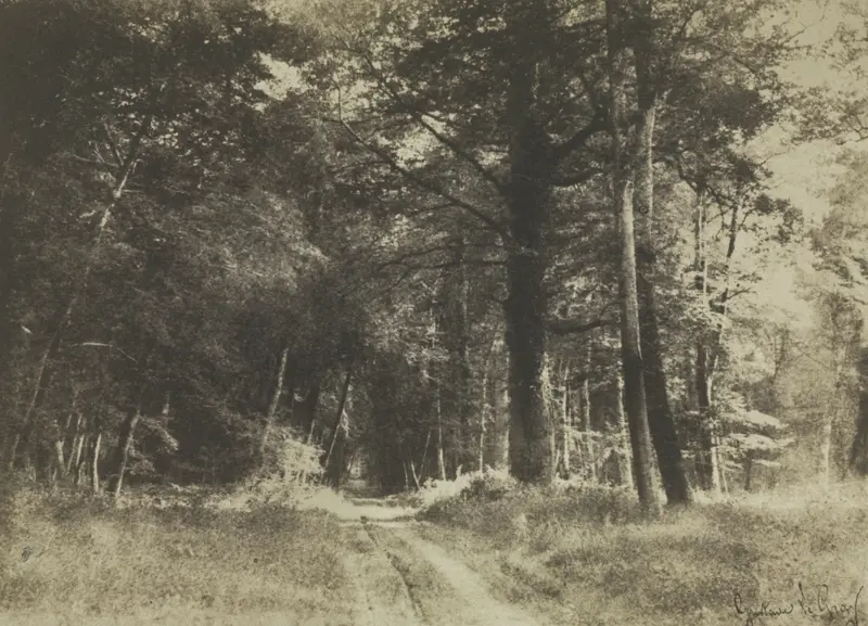Pathway in the Forest of Fontainebleau — تصویر رکورد موزهٔ هنر کلیولند (دسترسی آزاد)