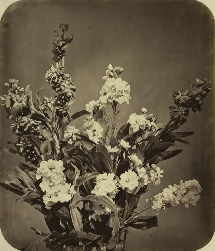 Bouquet — تصویر رکورد موزهٔ هنر کلیولند (دسترسی آزاد)
