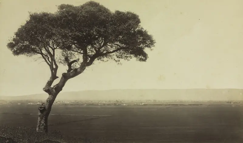 Untitled (Landscape near Watsonville, California) — تصویر رکورد موزهٔ هنر کلیولند (دسترسی آزاد)