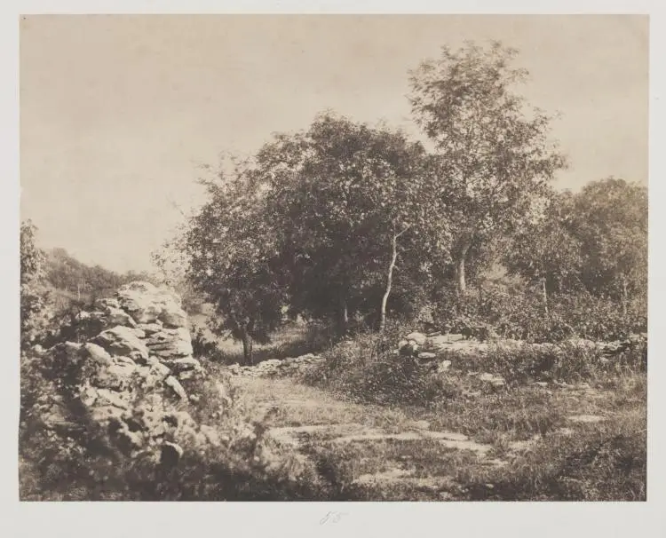 Untitled (Scene of Fontainebleau) — تصویر رکورد موزهٔ هنر کلیولند (دسترسی آزاد)