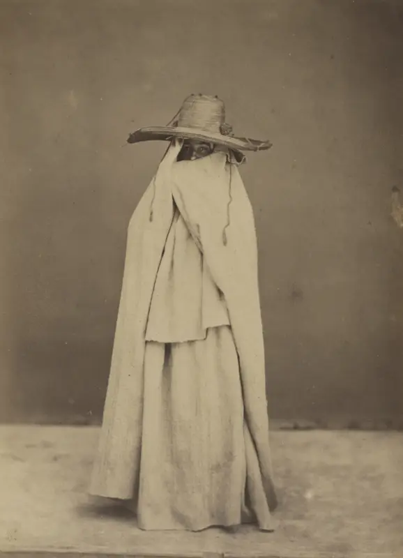 Algerian Woman — تصویر رکورد موزهٔ هنر کلیولند (دسترسی آزاد)