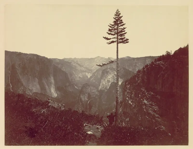 Yosemite Valley from Mariposa Trail — تصویر رکورد موزهٔ هنر کلیولند (دسترسی آزاد)
