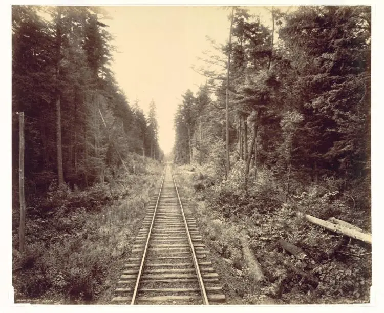 Hemlock Forest, Lehigh Valley Railroad — تصویر رکورد موزهٔ هنر کلیولند (دسترسی آزاد)