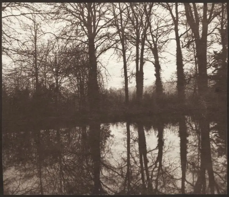 Winter Trees Reflected in a Pond — تصویر رکورد موزهٔ هنر کلیولند (دسترسی آزاد)