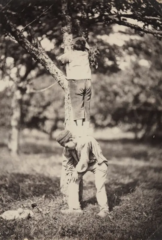 French Country Study: Two Boys Climbing a Tree — تصویر رکورد موزهٔ هنر کلیولند (دسترسی آزاد)