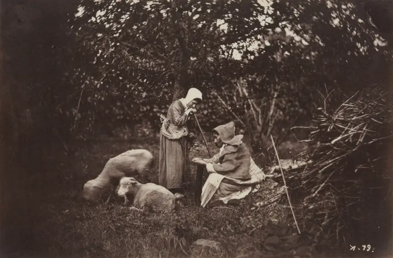 Two Shepherdesses Resting with Two Sheep — تصویر رکورد موزهٔ هنر کلیولند (دسترسی آزاد)