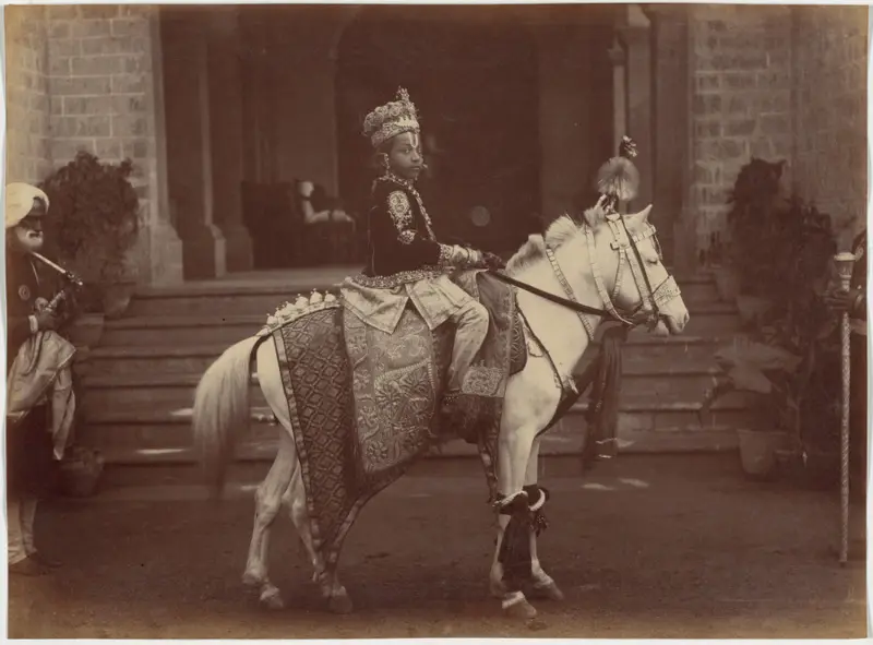 His Highness the Maharaja of Rewa — تصویر رکورد موزهٔ هنر کلیولند (دسترسی آزاد)