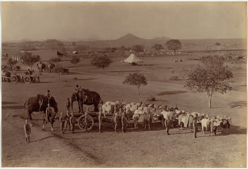Heavy Field Battery, Jhansi — تصویر رکورد موزهٔ هنر کلیولند (دسترسی آزاد)