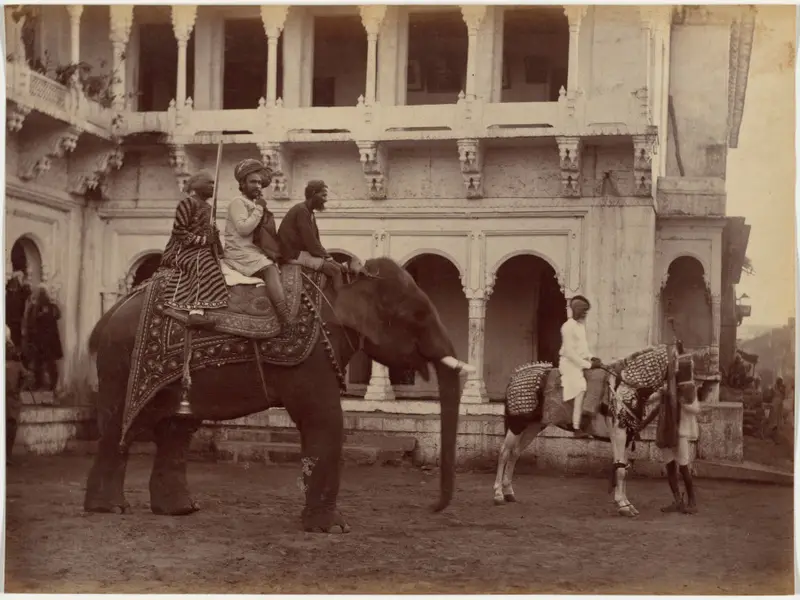 Ramkishore Singh of Rewa — تصویر رکورد موزهٔ هنر کلیولند (دسترسی آزاد)