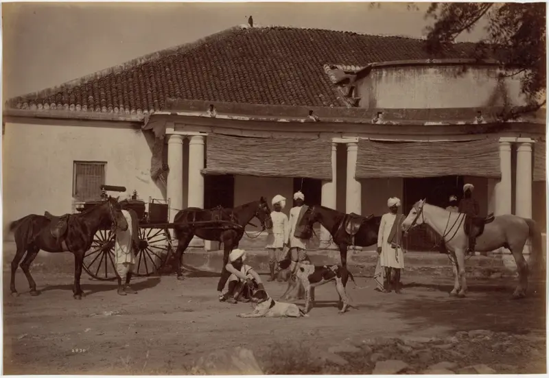 Mr. Brown's Horses, Jhansi — تصویر رکورد موزهٔ هنر کلیولند (دسترسی آزاد)