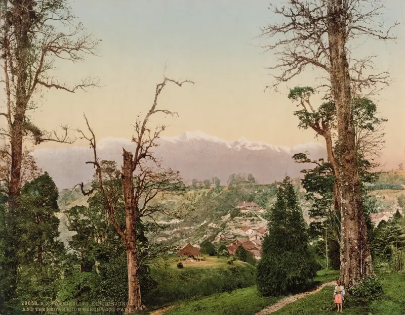 Darjeeling. Kinchinjunga and the Snows from Beechwood Park — تصویر رکورد موزهٔ هنر کلیولند (دسترسی آزاد)