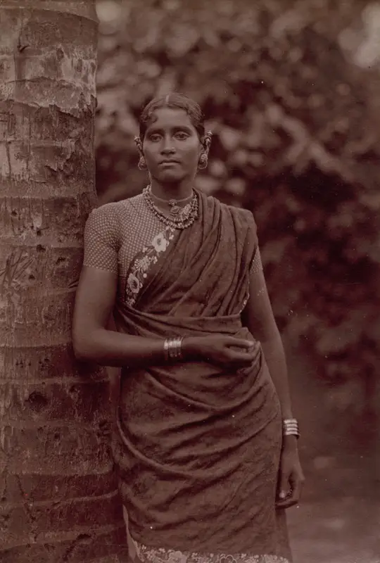 Ceylonese Woman — تصویر رکورد موزهٔ هنر کلیولند (دسترسی آزاد)