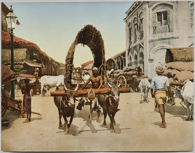 India. Ceylon. Colombo. Street Scene, after photo by Dr. Kurt Boeck — تصویر رکورد موزهٔ هنر کلیولند (دسترسی آزاد)