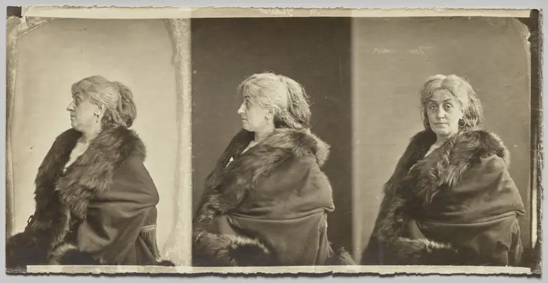 Portrait of Ernestine Nadar, the artist's wife, wearing fur stole — تصویر رکورد موزهٔ هنر کلیولند (دسترسی آزاد)
