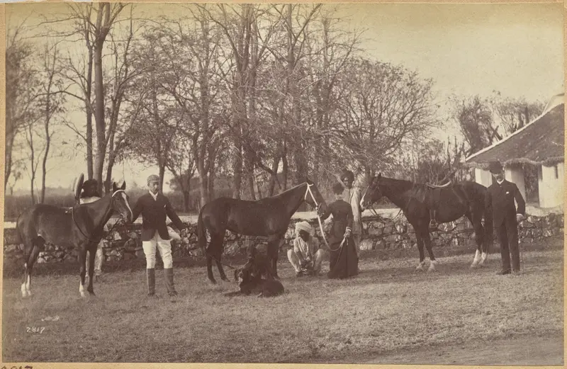Captain Brown's horses, Jhansi (recto, top) — تصویر رکورد موزهٔ هنر کلیولند (دسترسی آزاد)