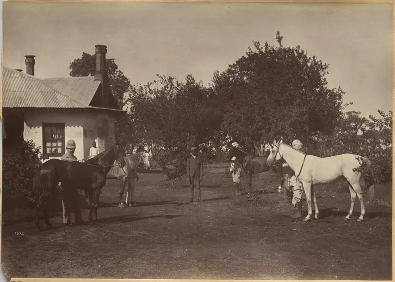 Lord William Beresford's horses — تصویر رکورد موزهٔ هنر کلیولند (دسترسی آزاد)