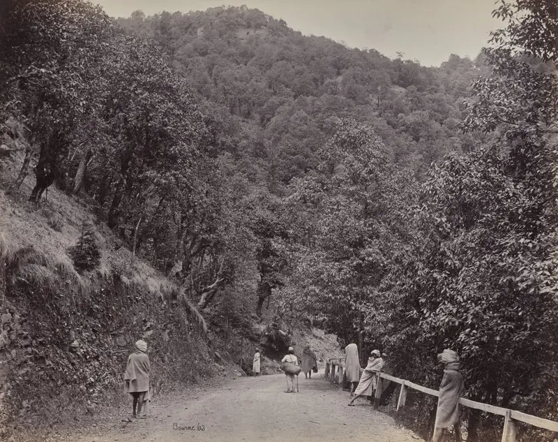Shimla. The Mall or Principal — تصویر رکورد موزهٔ هنر کلیولند (دسترسی آزاد)