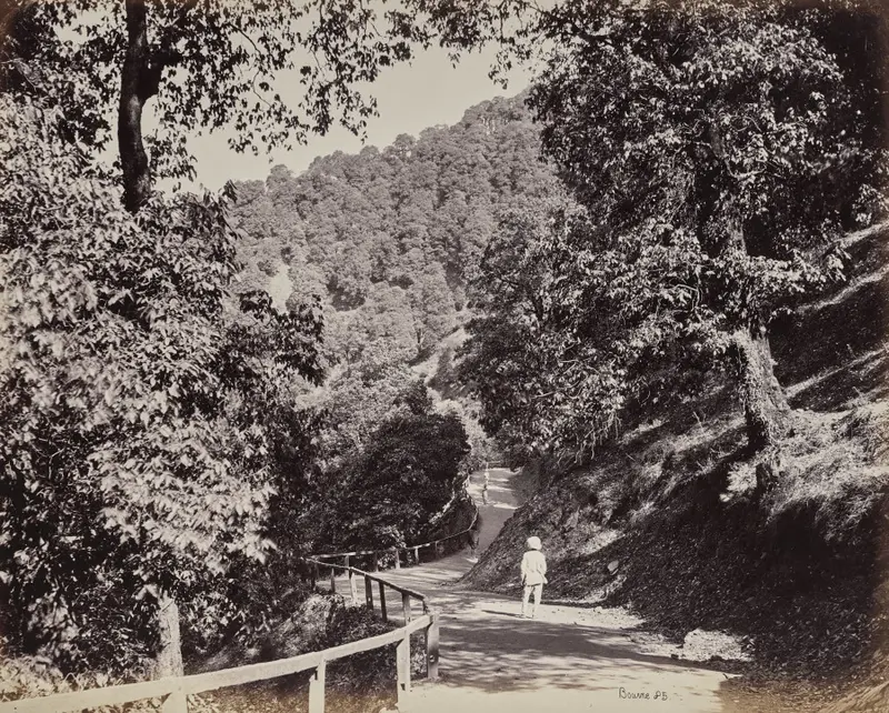 Shimla. The Mall near Rabq Lodge — تصویر رکورد موزهٔ هنر کلیولند (دسترسی آزاد)