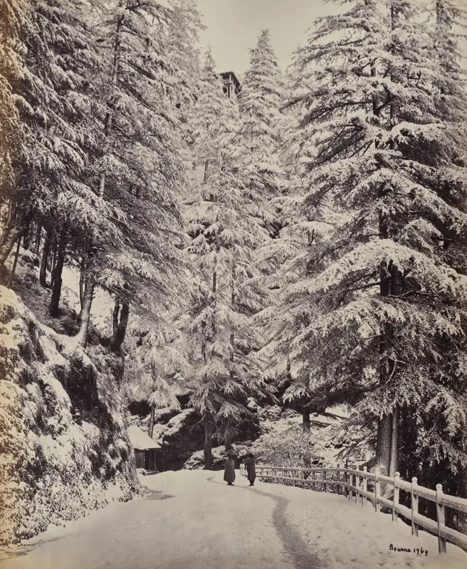 Shimla. View on the Mall in Winter — تصویر رکورد موزهٔ هنر کلیولند (دسترسی آزاد)