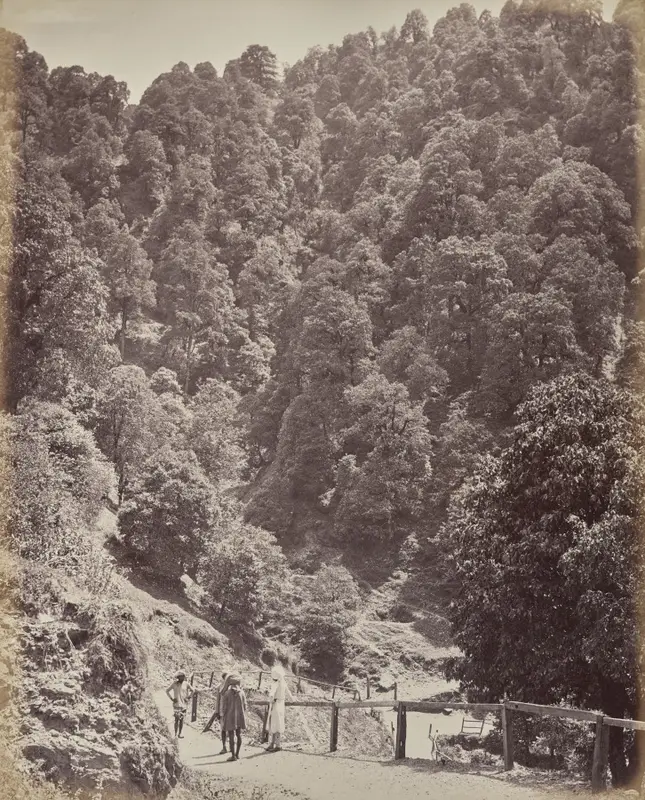 Shimla. View North of Mount Jakko — تصویر رکورد موزهٔ هنر کلیولند (دسترسی آزاد)