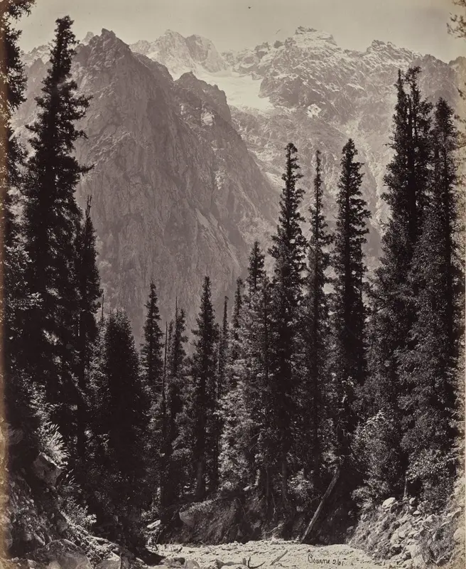 The Upper Himmalayahs. View in the Manga Valley — تصویر رکورد موزهٔ هنر کلیولند (دسترسی آزاد)