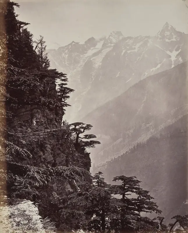 The Upper Himmalayahs. View on the New Road Near Rogi — تصویر رکورد موزهٔ هنر کلیولند (دسترسی آزاد)
