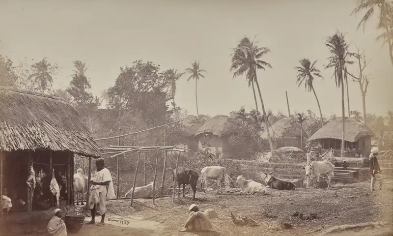 A Village Scene, Near Calcutta — تصویر رکورد موزهٔ هنر کلیولند (دسترسی آزاد)