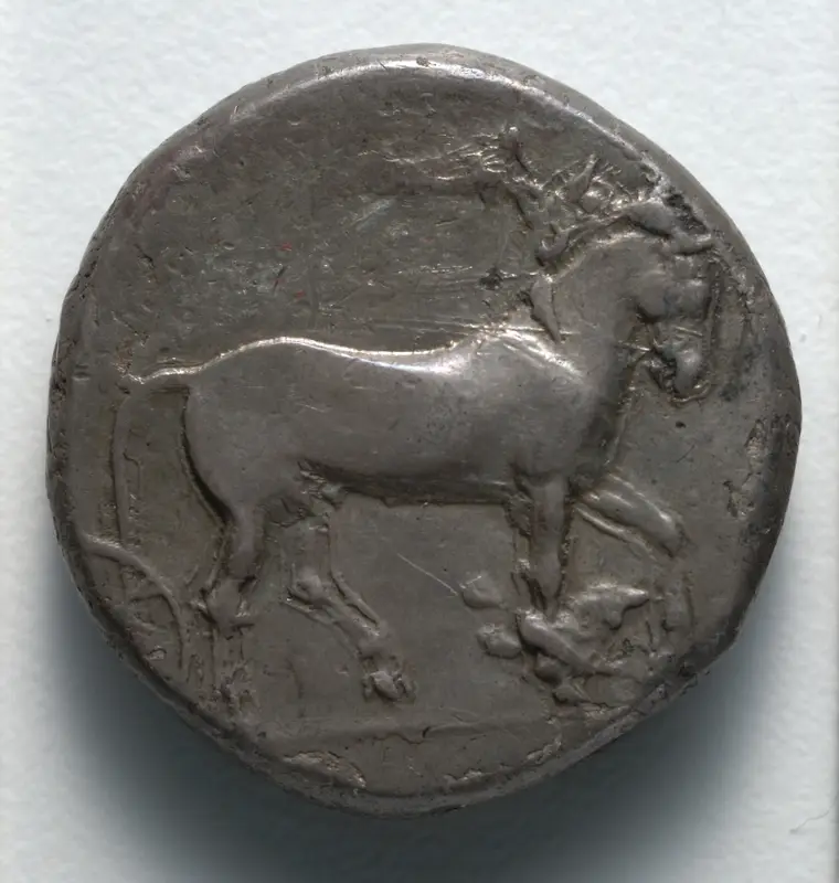 Tetradrachm: Quadriga (obverse) — تصویر رکورد موزهٔ هنر کلیولند (دسترسی آزاد)