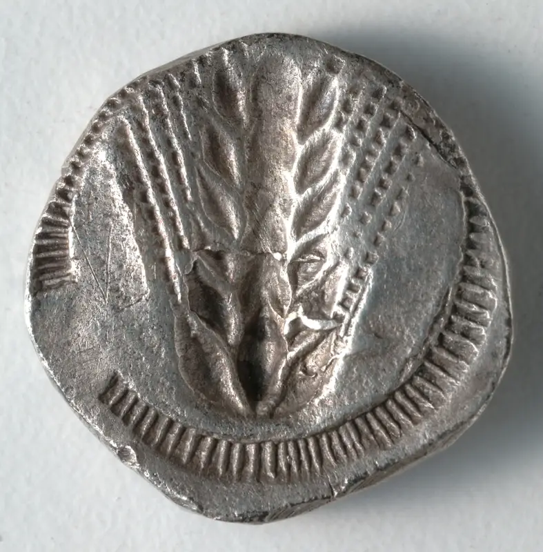 Stater: Barley, Incuse (reverse) — تصویر رکورد موزهٔ هنر کلیولند (دسترسی آزاد)