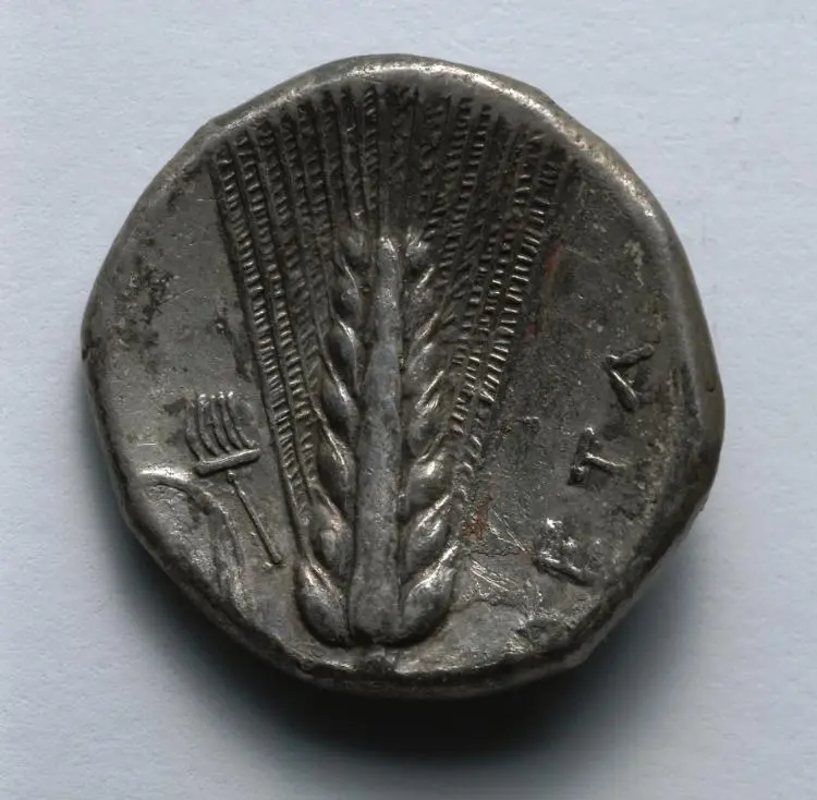 Stater: Barley (reverse) — تصویر رکورد موزهٔ هنر کلیولند (دسترسی آزاد)
