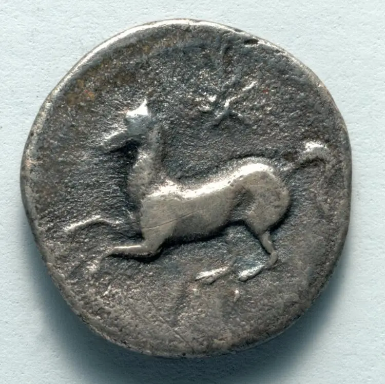 Two Litrae: Horse, star (reverse) — تصویر رکورد موزهٔ هنر کلیولند (دسترسی آزاد)