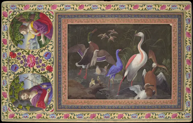 "Aquatic Birds at a Pool", Folio from the Davis Album — تصویر رکورد موزهٔ متروپولیتن (دسترسی آزاد)
